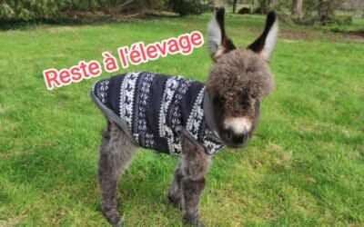 Beaugarry T Only You