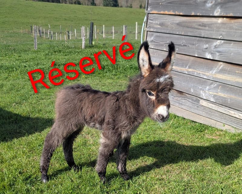 Beaugarry T Q&rsquo;pidon